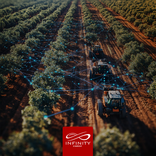 São Paulo lidera exportação agropecuária do Brasil em 2024 e supera Mato Grosso