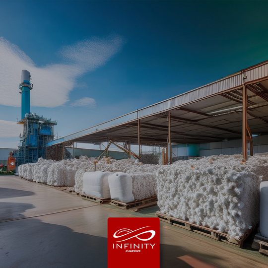 Exportações de celulose crescem 62,7%