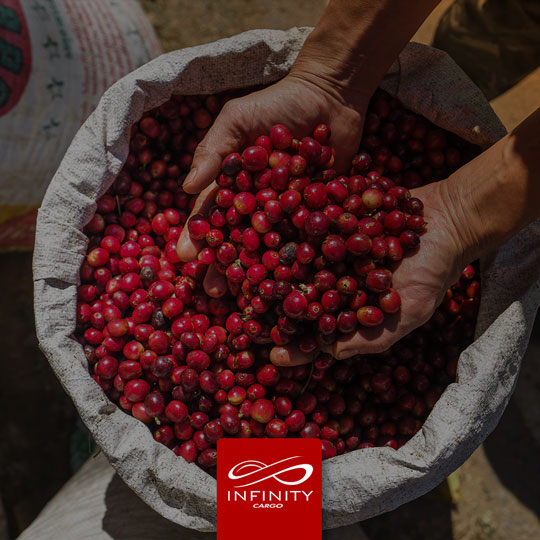 Recorde de Exportação: O Brasil fortalece sua liderança no mercado global de café!