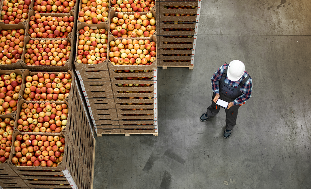 Exportações do Agro Mineiro em Alta!